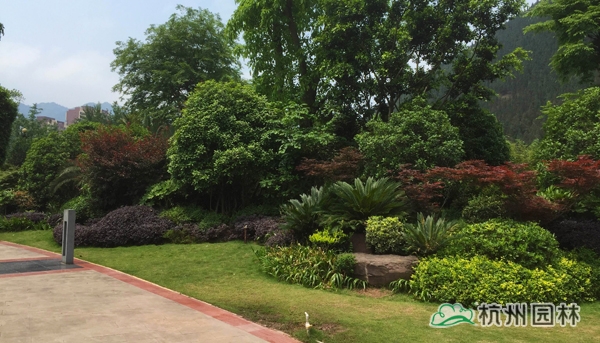 彩运网(中国游)官方网站