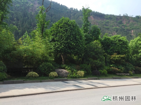 彩运网(中国游)官方网站