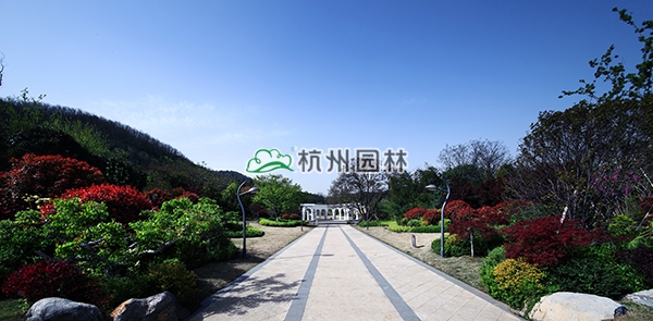 彩运网(中国游)官方网站