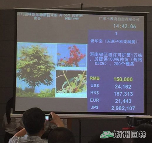 彩运网(中国游)官方网站