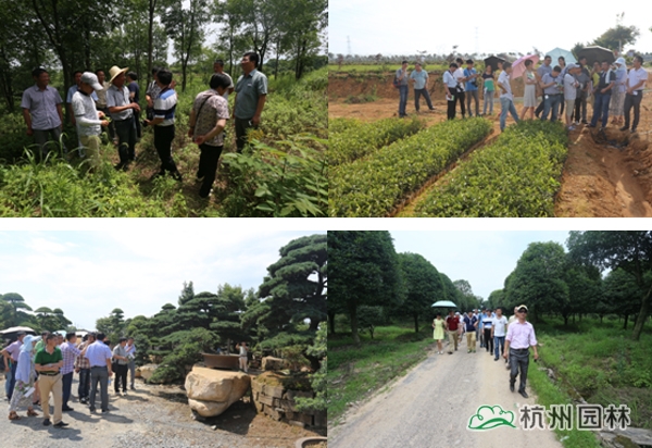 彩运网(中国游)官方网站