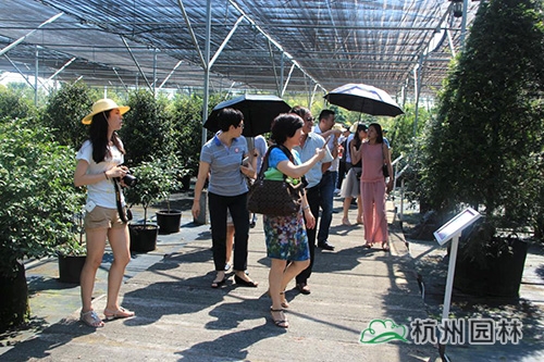 彩运网(中国游)官方网站