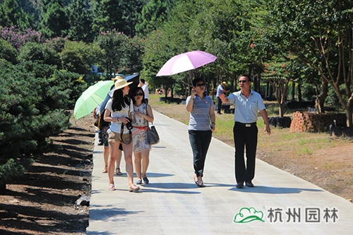 彩运网(中国游)官方网站