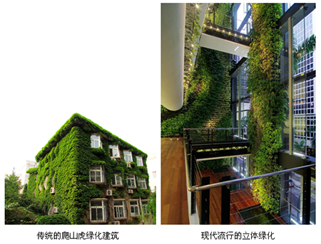 彩运网(中国游)官方网站