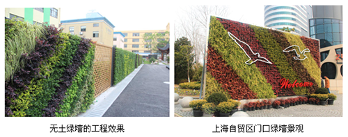 彩运网(中国游)官方网站