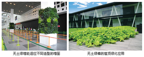 彩运网(中国游)官方网站