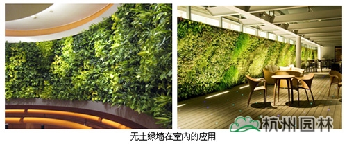 彩运网(中国游)官方网站