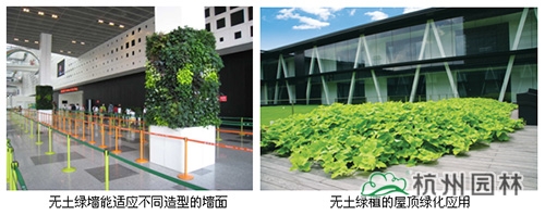 彩运网(中国游)官方网站