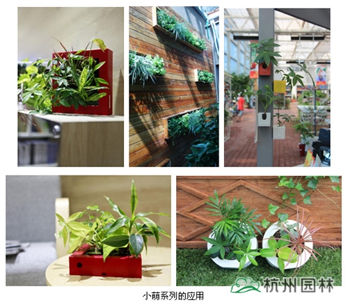 彩运网(中国游)官方网站