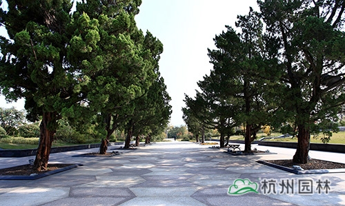 彩运网(中国游)官方网站