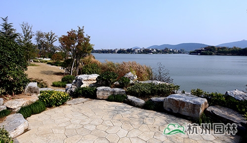 彩运网(中国游)官方网站