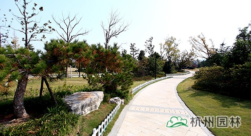 彩运网(中国游)官方网站