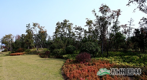 彩运网(中国游)官方网站