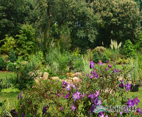 彩运网(中国游)官方网站