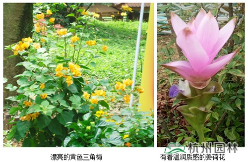 彩运网(中国游)官方网站