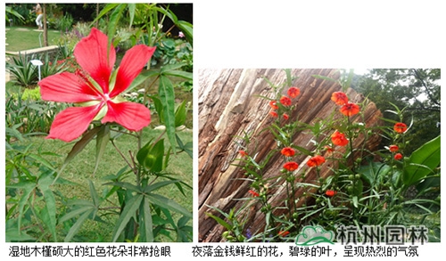 彩运网(中国游)官方网站