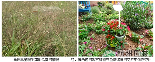 彩运网(中国游)官方网站