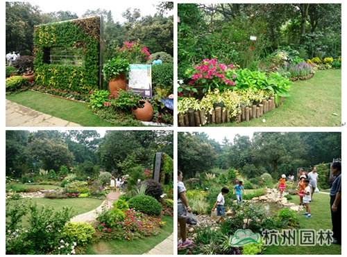 彩运网(中国游)官方网站