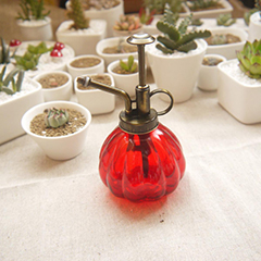 彩运网(中国游)官方网站