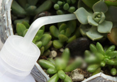 彩运网(中国游)官方网站