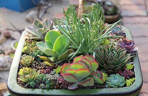 彩运网(中国游)官方网站