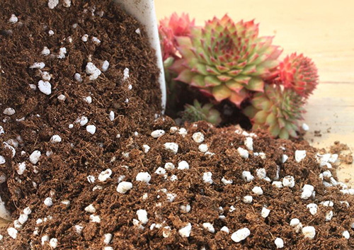 彩运网(中国游)官方网站