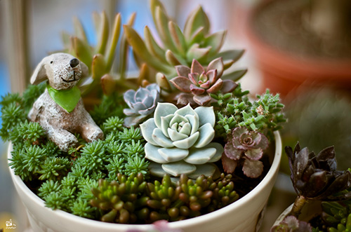 彩运网(中国游)官方网站