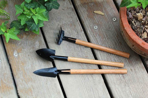 彩运网(中国游)官方网站