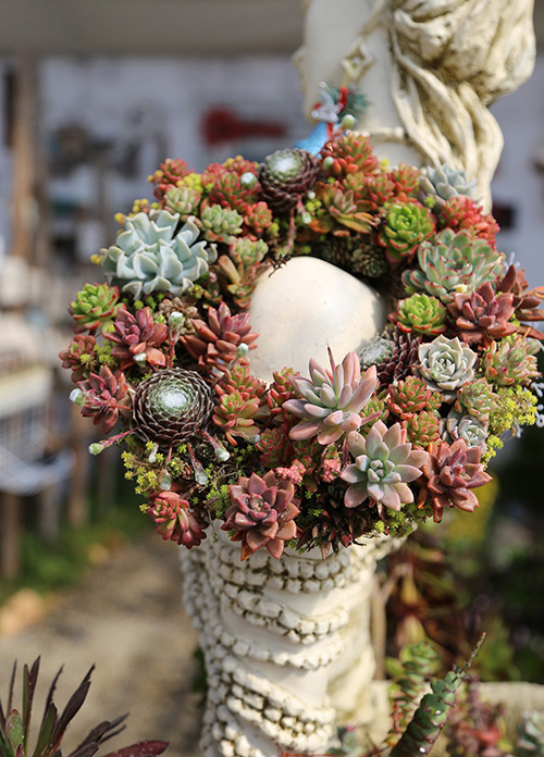 彩运网(中国游)官方网站