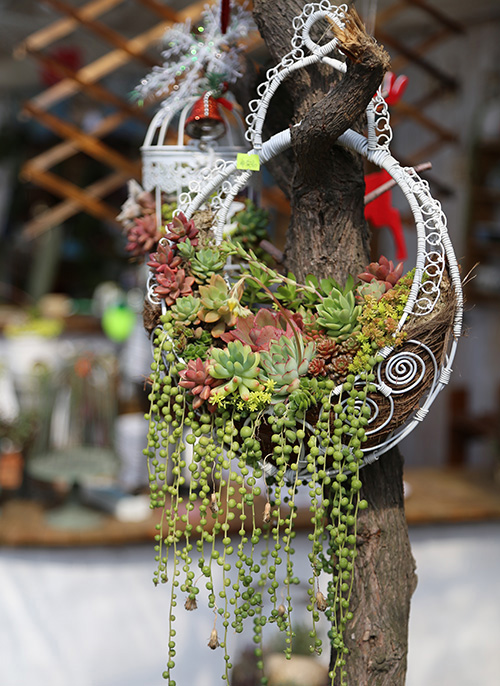 彩运网(中国游)官方网站