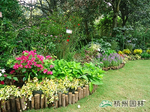 彩运网(中国游)官方网站