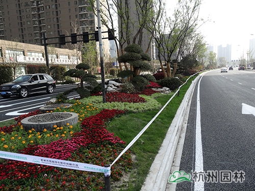 彩运网(中国游)官方网站