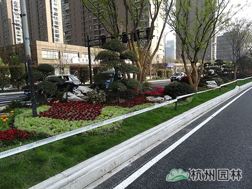 彩运网(中国游)官方网站