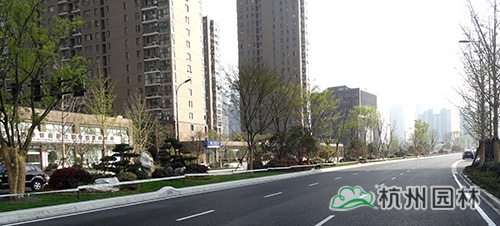 彩运网(中国游)官方网站