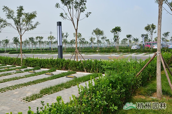 彩运网(中国游)官方网站