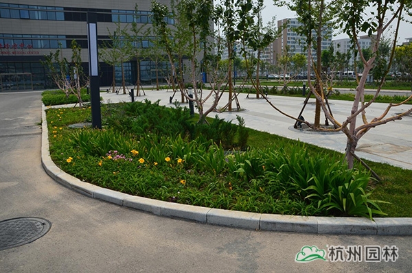 彩运网(中国游)官方网站