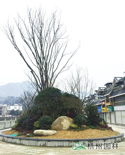 彩运网(中国游)官方网站