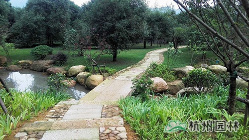 彩运网(中国游)官方网站