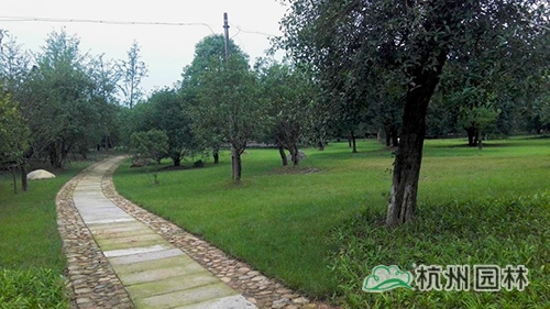 彩运网(中国游)官方网站