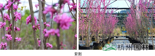 彩运网(中国游)官方网站