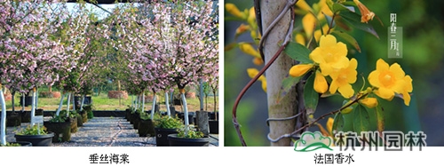 彩运网(中国游)官方网站