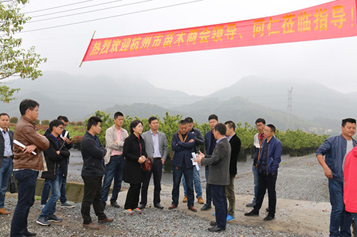 彩运网(中国游)官方网站