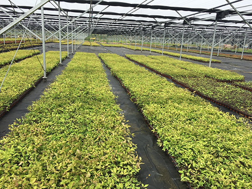 彩运网(中国游)官方网站