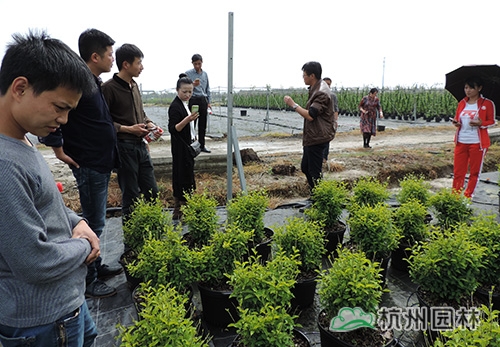 彩运网(中国游)官方网站