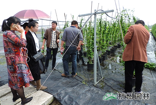 彩运网(中国游)官方网站