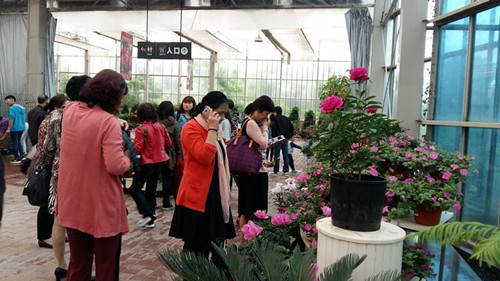 彩运网(中国游)官方网站