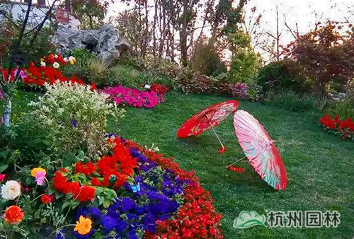 彩运网(中国游)官方网站