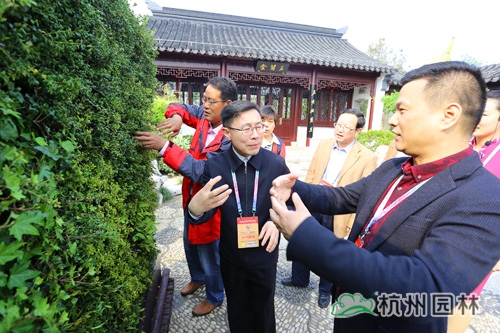 彩运网(中国游)官方网站