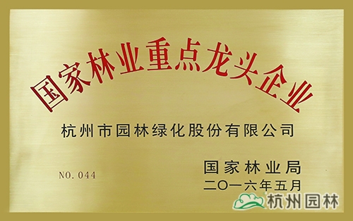 彩运网(中国游)官方网站