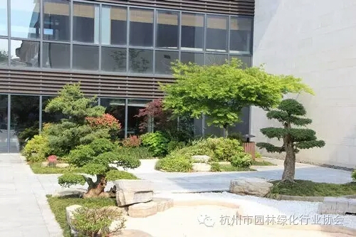 彩运网(中国游)官方网站